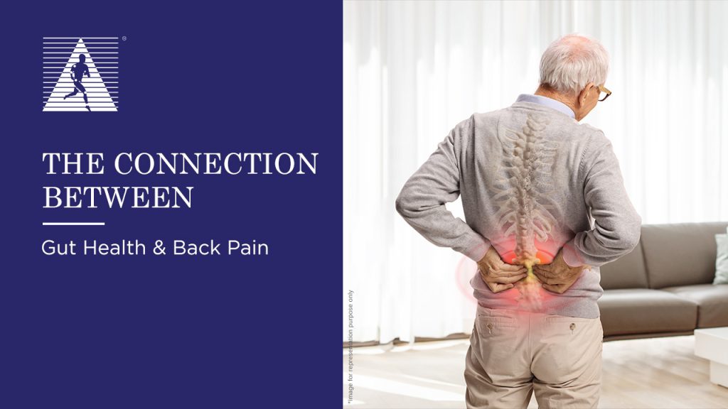 The Connection Between Gut Health & Back pain